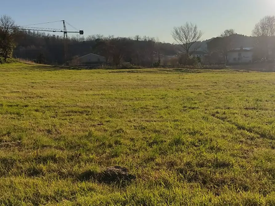 Immagine 2 di Appartamento in vendita  in Via Scacciapolli 25 a Collesalvetti