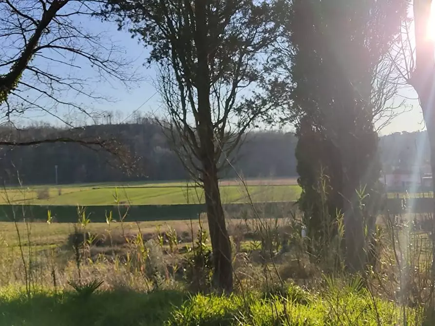 Immagine 5 di Appartamento in vendita  in Via Scacciapolli 25 a Collesalvetti