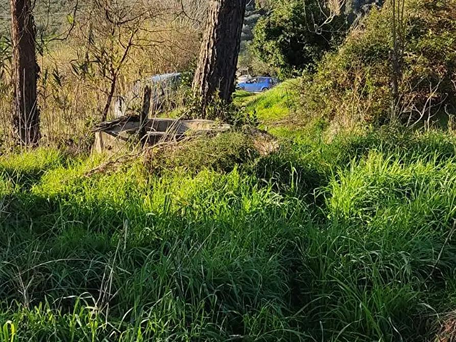 Immagine 7 di Appartamento in vendita  in Via Scacciapolli 25 a Collesalvetti