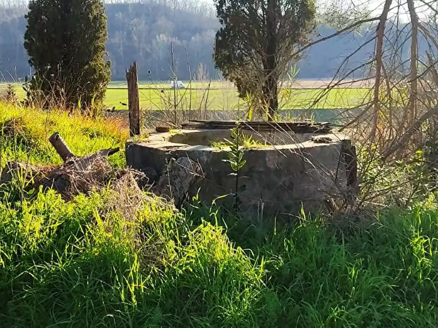 Immagine 3 di Appartamento in vendita  in Via Scacciapolli 25 a Collesalvetti