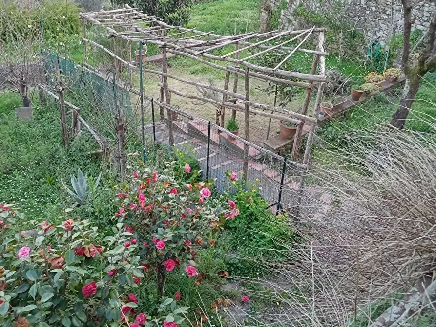 Immagine 17 di Appartamento in vendita  in villa basilica 12 a Villa Basilica