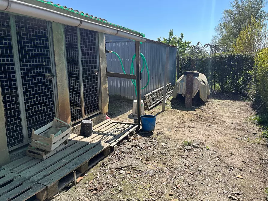 Immagine 2 di Terreno agricolo in vendita  in via profeti 12 a Cascina