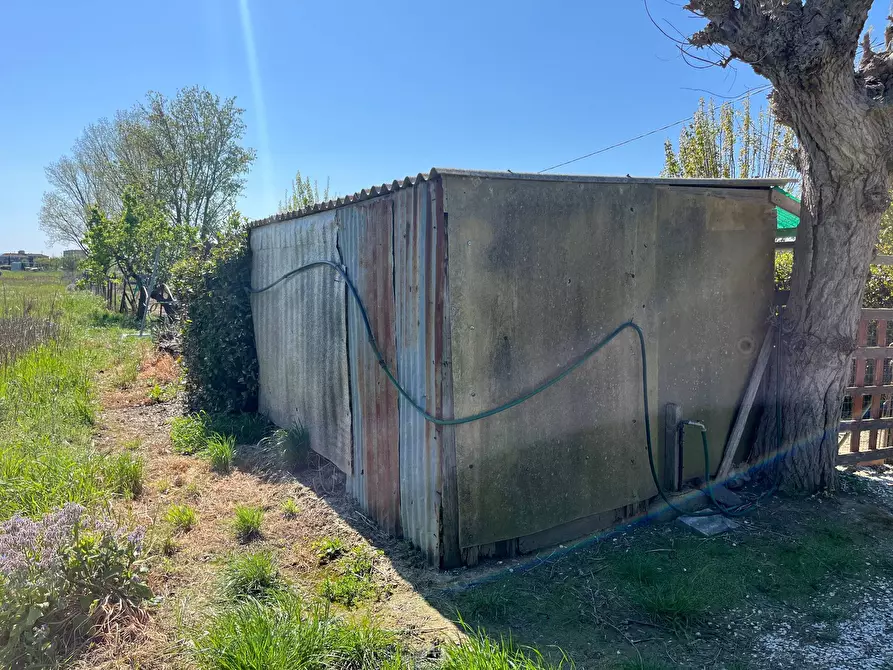 Immagine 3 di Terreno agricolo in vendita  in via profeti 12 a Cascina