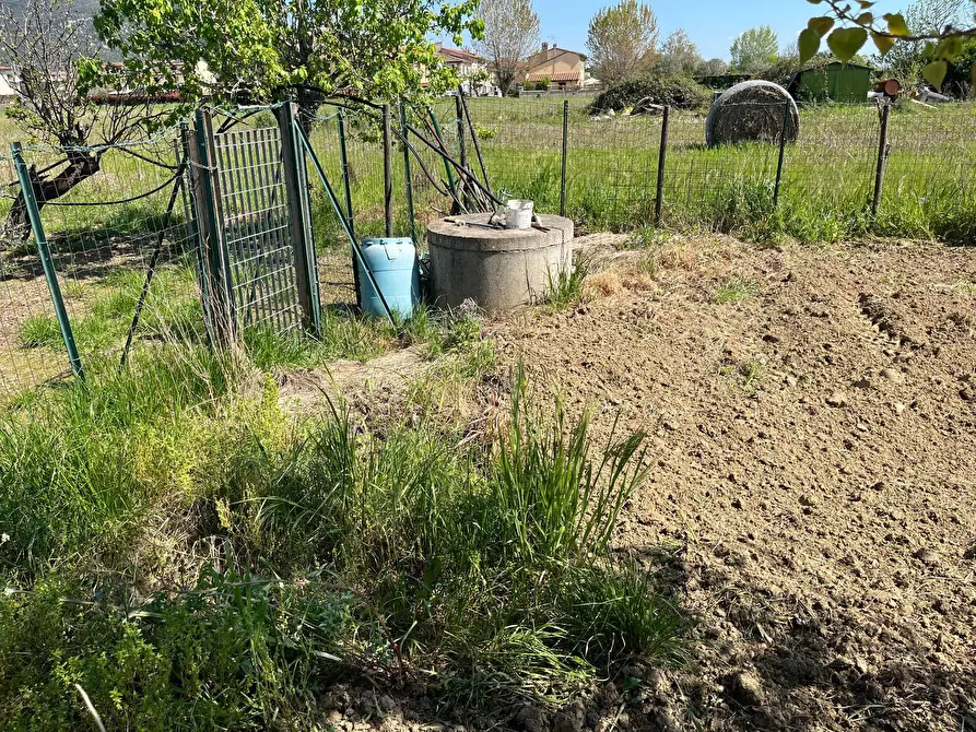 Immagine 4 di Terreno agricolo in vendita  in via profeti 12 a Cascina