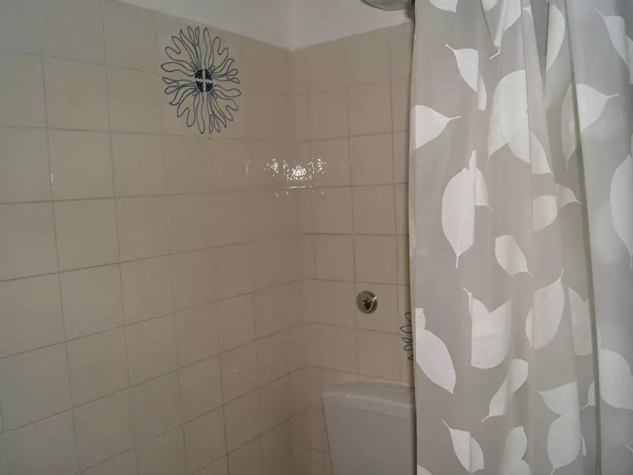 Immagine 27 di Appartamento in vendita  in Via Goito 121 a Livorno