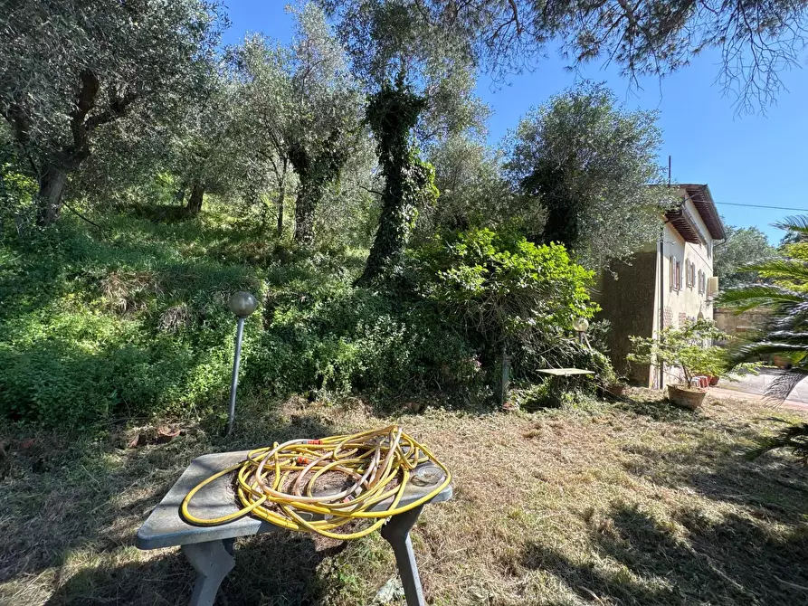 Immagine 22 di Villetta a schiera in vendita  in Via Roma 76 a Calci