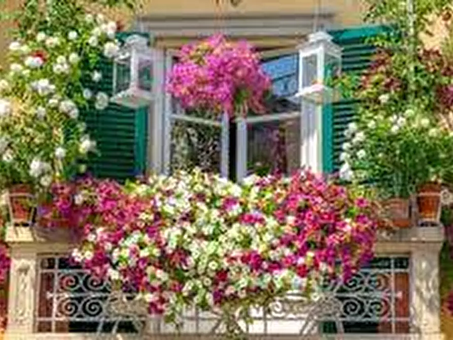 Immagine 12 di Appartamento in vendita  in via francesco bonaini 90 a Pisa