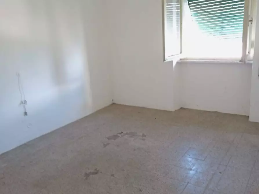 Immagine 7 di Appartamento in vendita  in via marco polo 5 a Camporgiano