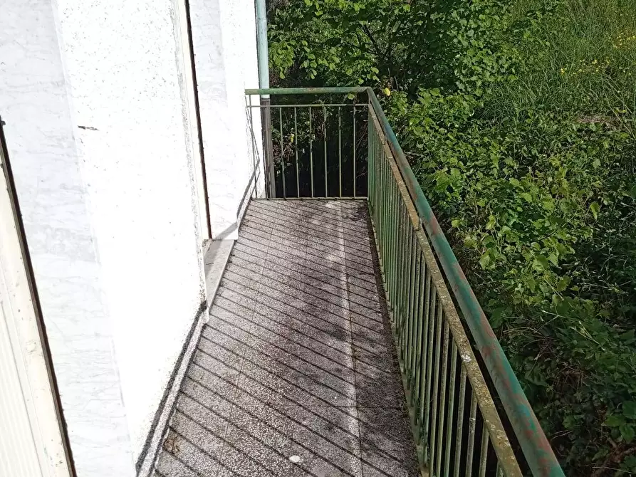 Immagine 8 di Appartamento in vendita  in via marco polo 5 a Camporgiano