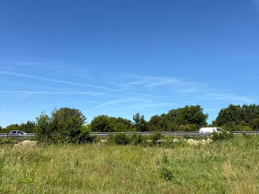 Immagine 2 di Terreno agricolo in vendita  in Via Livornese 10 a Pisa