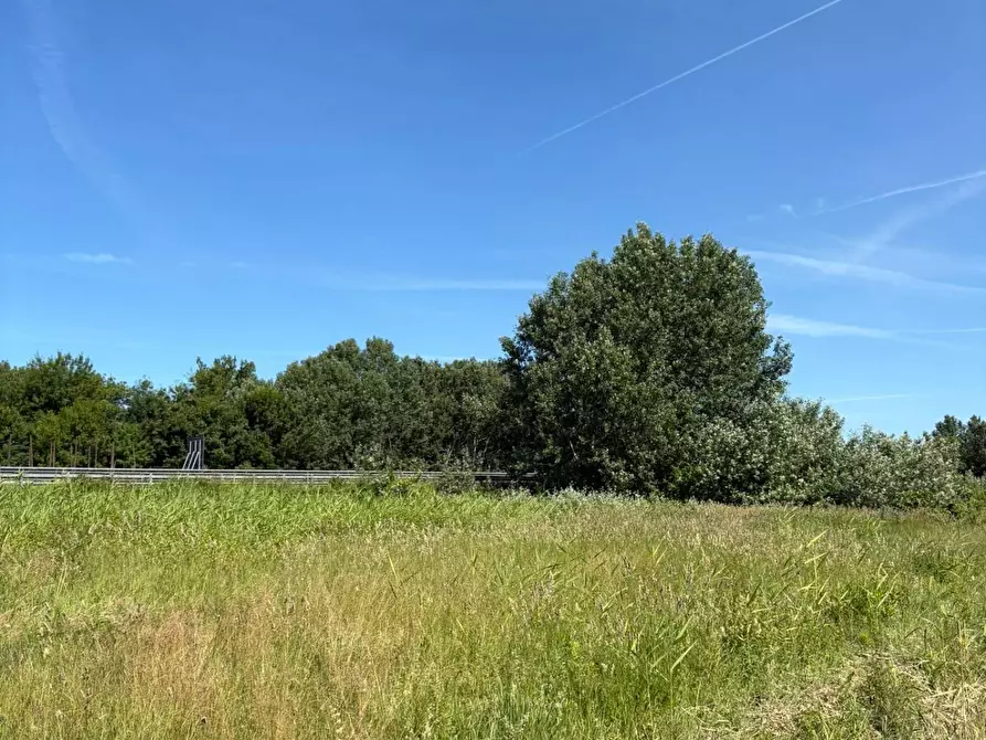 Immagine 3 di Terreno agricolo in vendita  in Via Livornese 10 a Pisa