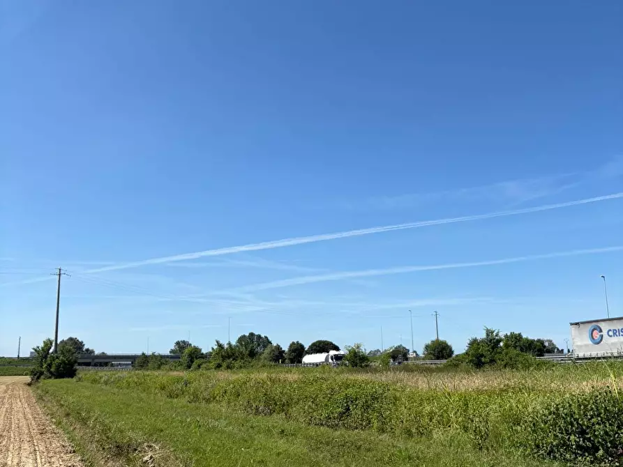 Immagine 1 di Terreno agricolo in vendita  in Via Livornese 10 a Pisa