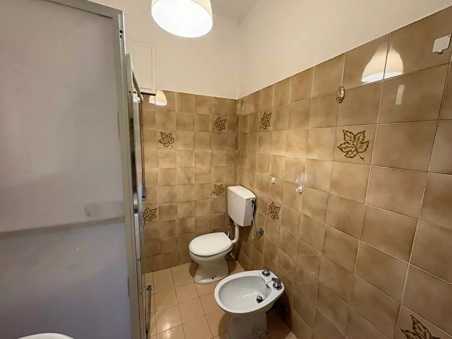 Immagine 12 di Appartamento in affitto  in Via Tevere 5 a Pisa