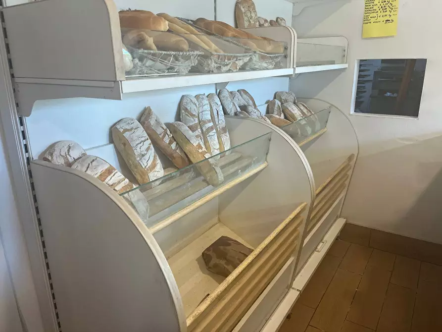 Immagine 2 di Attività commerciale in vendita  in via cattaneo 55 a Pisa