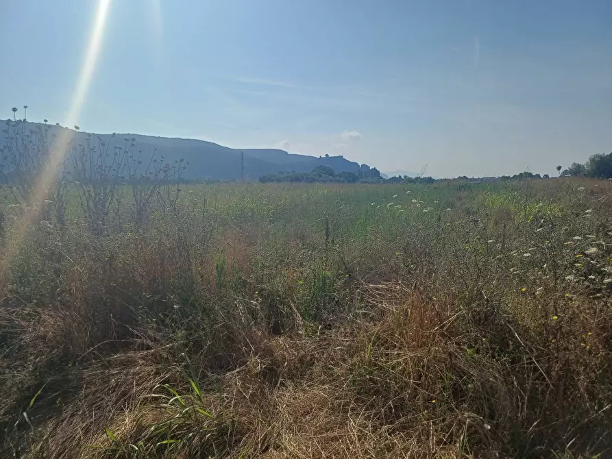 Immagine 4 di Terreno agricolo in vendita  in via del capannone 1 a Vecchiano