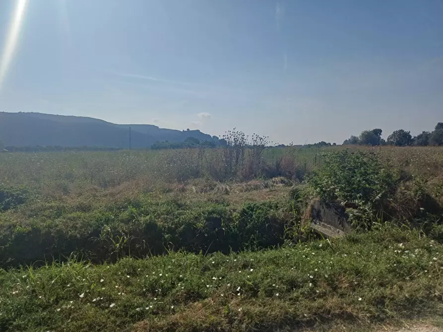 Immagine 5 di Terreno agricolo in vendita  in via del capannone 1 a Vecchiano