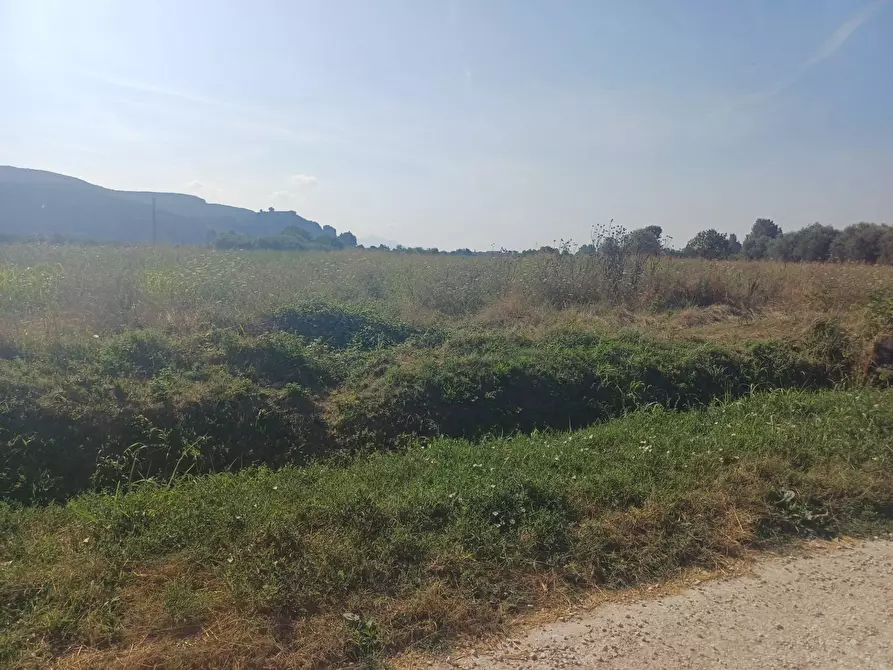 Immagine 8 di Terreno agricolo in vendita  in via del capannone 1 a Vecchiano