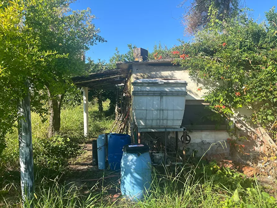 Immagine 1 di Terreno agricolo in vendita  in via piastroni 8 a Cascina