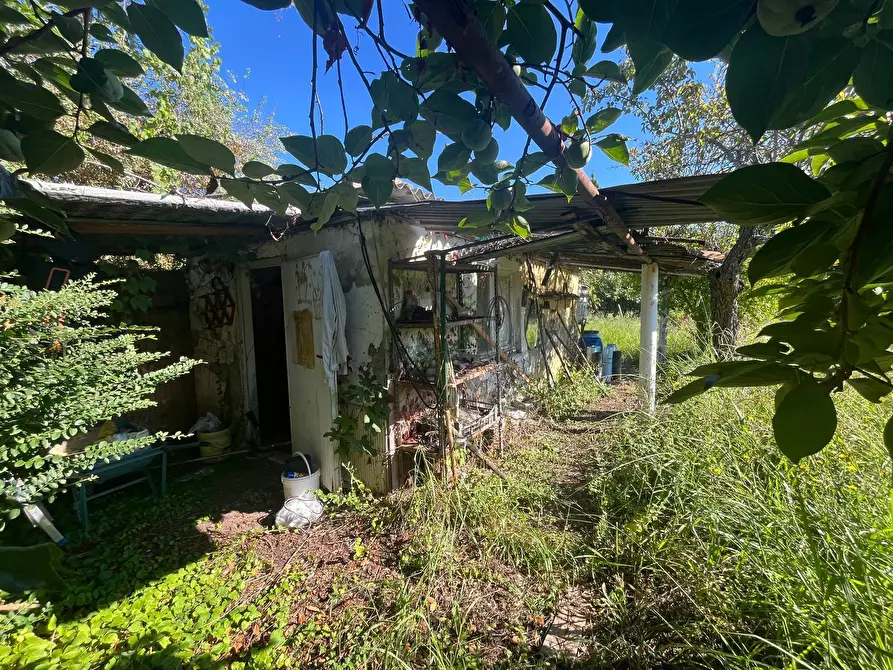 Immagine 5 di Terreno agricolo in vendita  in via piastroni 8 a Cascina