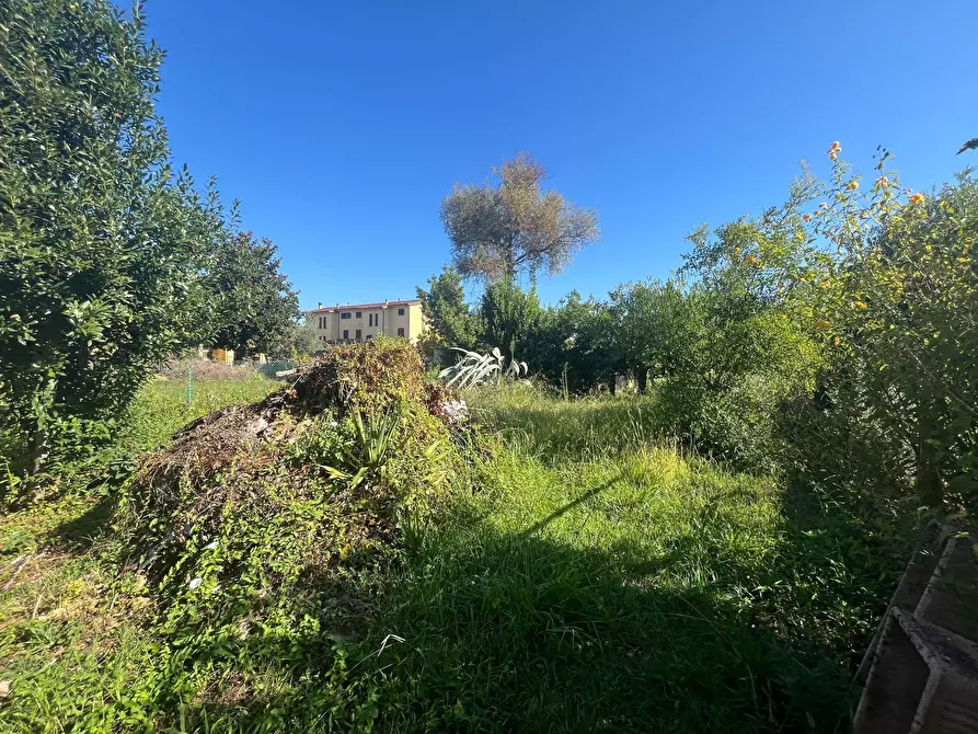 Immagine 6 di Terreno agricolo in vendita  in via piastroni 8 a Cascina