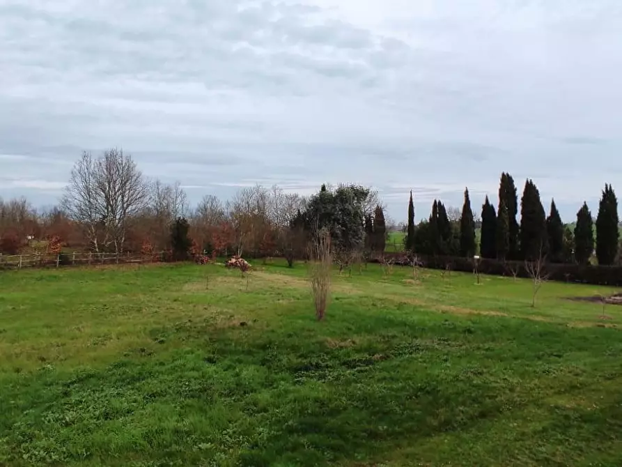 Immagine 1 di Terreno residenziale in vendita  in Via Scacciapolli a Collesalvetti