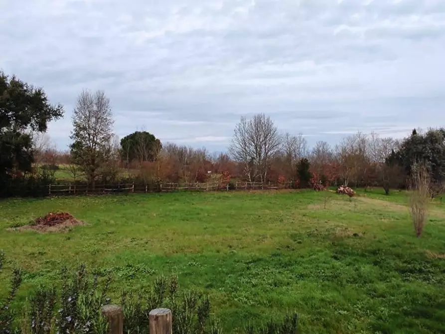 Immagine 4 di Terreno residenziale in vendita  in Via Scacciapolli a Collesalvetti