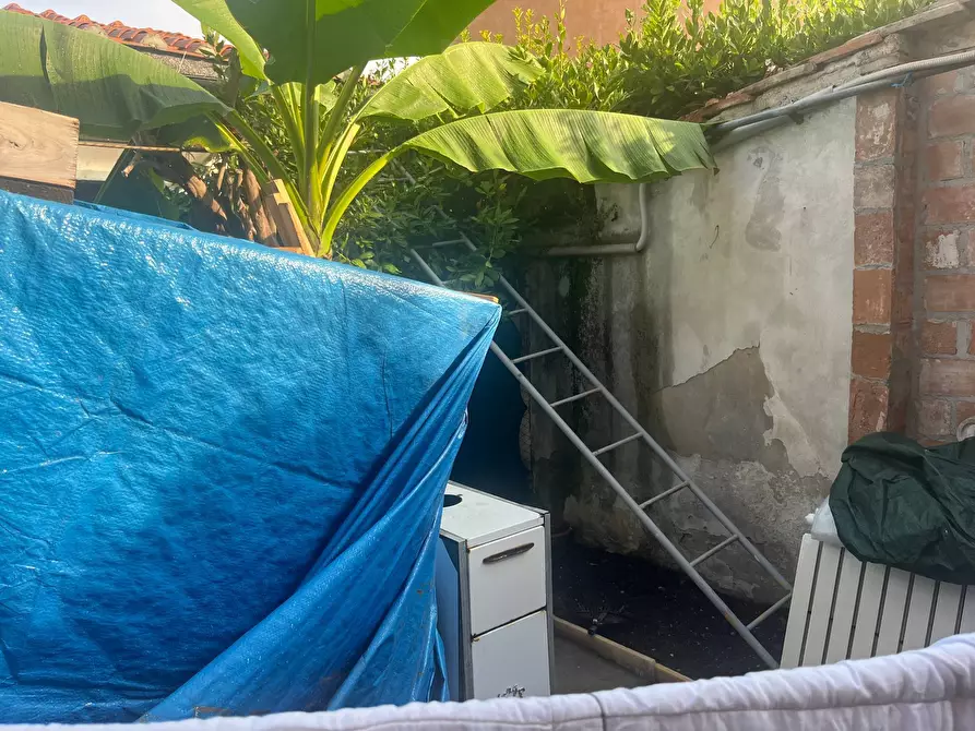 Immagine 3 di Camera in affitto  in Via Carlo Matteucci 11 a Pisa