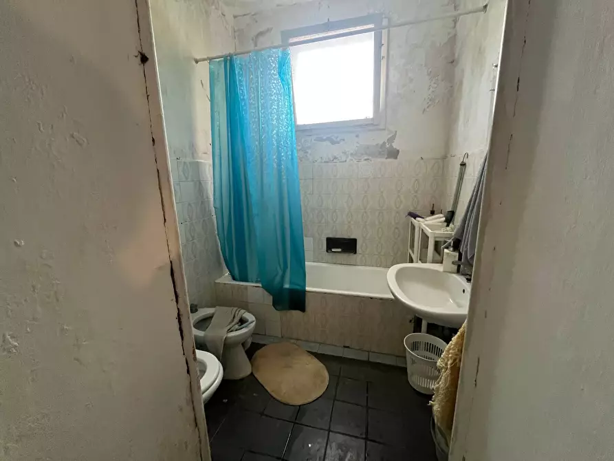 Immagine 6 di Camera in affitto  in Via Carlo Matteucci 11 a Pisa