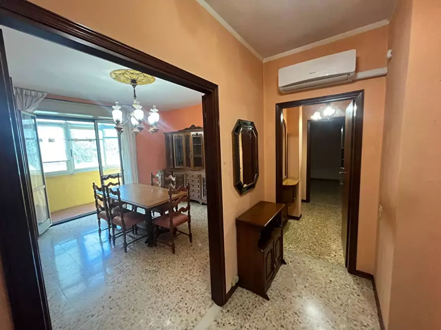 Immagine 15 di Appartamento in vendita  in via norvrgia 8 a Pisa