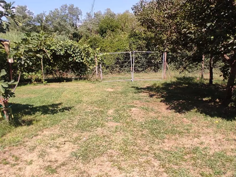 Immagine 12 di Terreno agricolo in vendita  in Via Vallebbiaia 10 a Collesalvetti