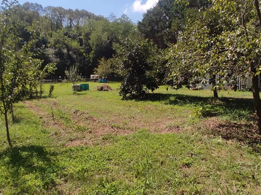 Immagine 11 di Terreno agricolo in vendita  in Via Vallebbiaia 10 a Collesalvetti