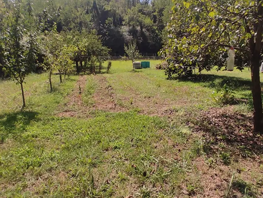 Immagine 8 di Terreno agricolo in vendita  in Via Vallebbiaia 10 a Collesalvetti