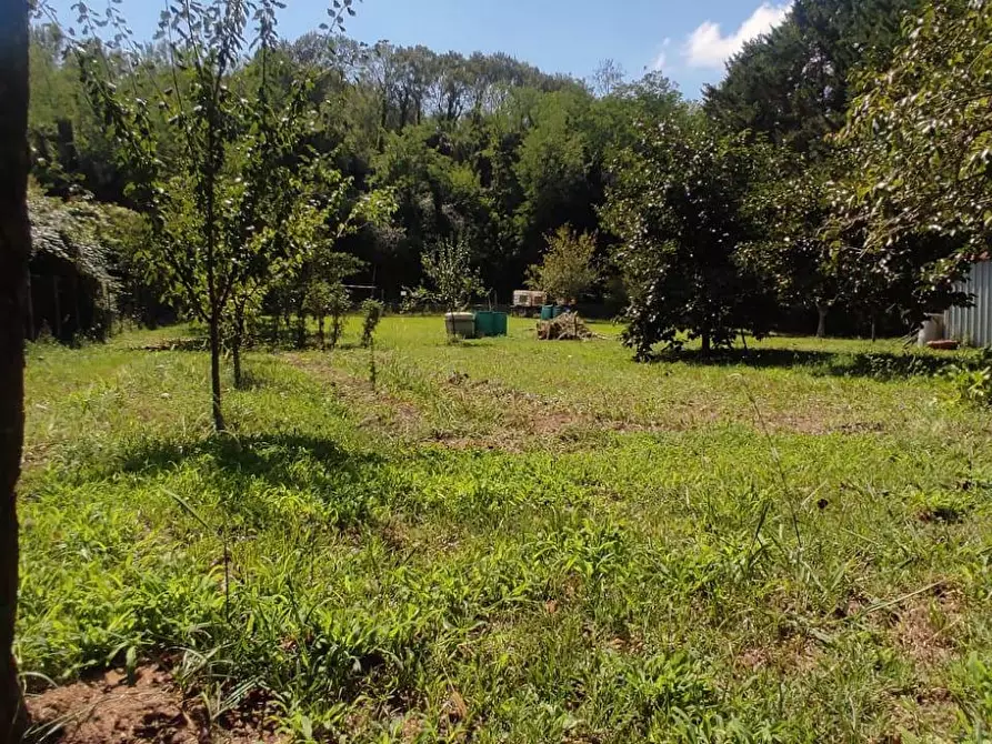 Immagine 10 di Terreno agricolo in vendita  in Via Vallebbiaia 10 a Collesalvetti