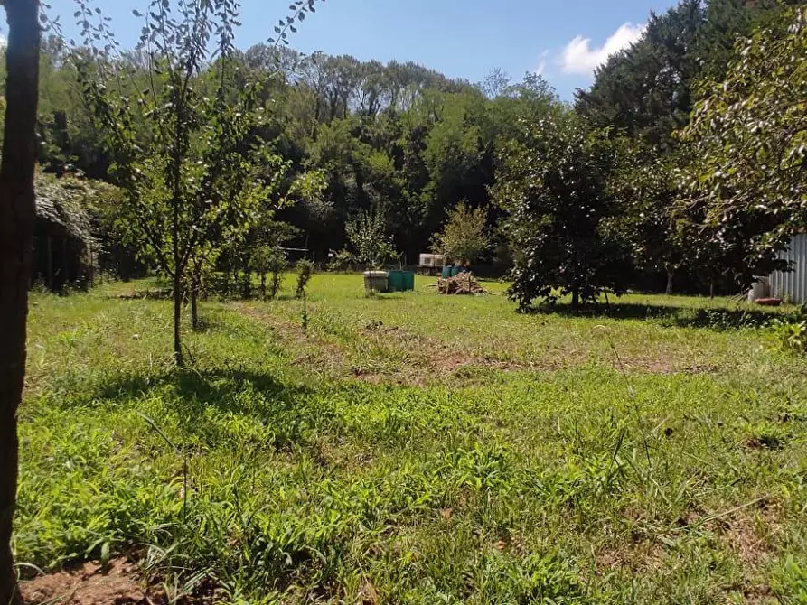 Immagine 3 di Terreno agricolo in vendita  in Via Vallebbiaia 10 a Collesalvetti