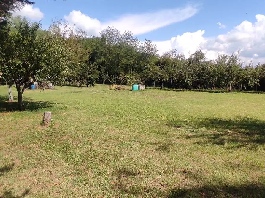 Immagine 5 di Terreno agricolo in vendita  in Via Vallebbiaia 10 a Collesalvetti