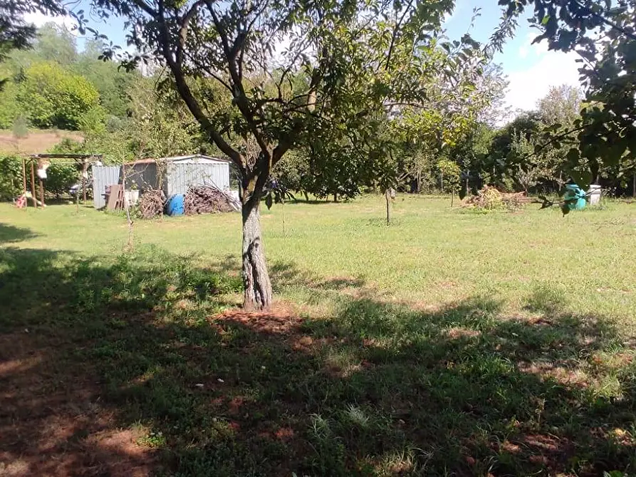 Immagine 6 di Terreno agricolo in vendita  in Via Vallebbiaia 10 a Collesalvetti