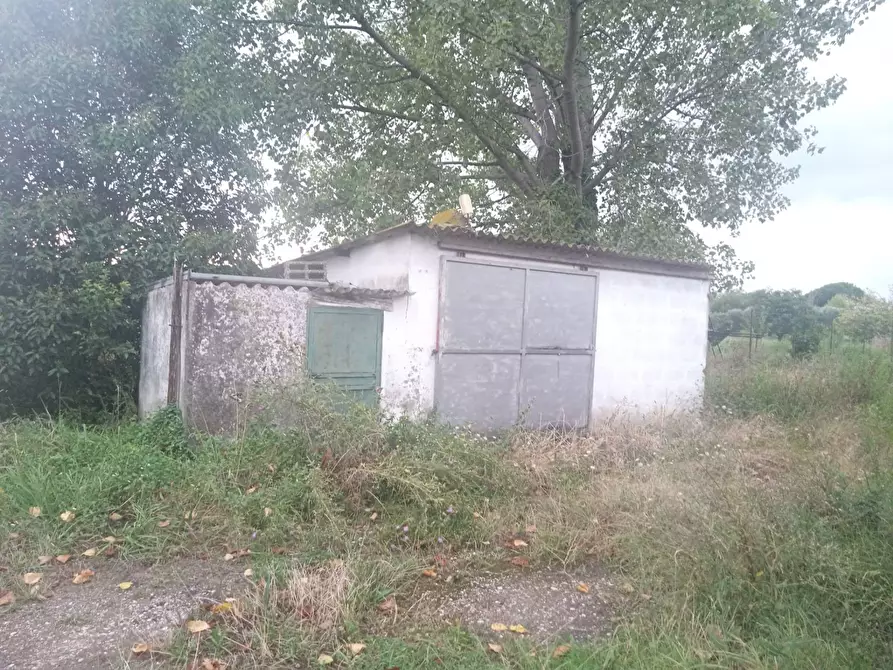 Immagine 8 di Attività commerciale in vendita  in via carlo marx - a San Giuliano Terme