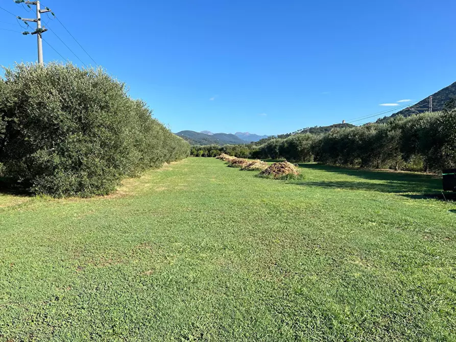 Immagine 13 di Villetta a schiera in vendita  in via cialdini 1 a San Giuliano Terme