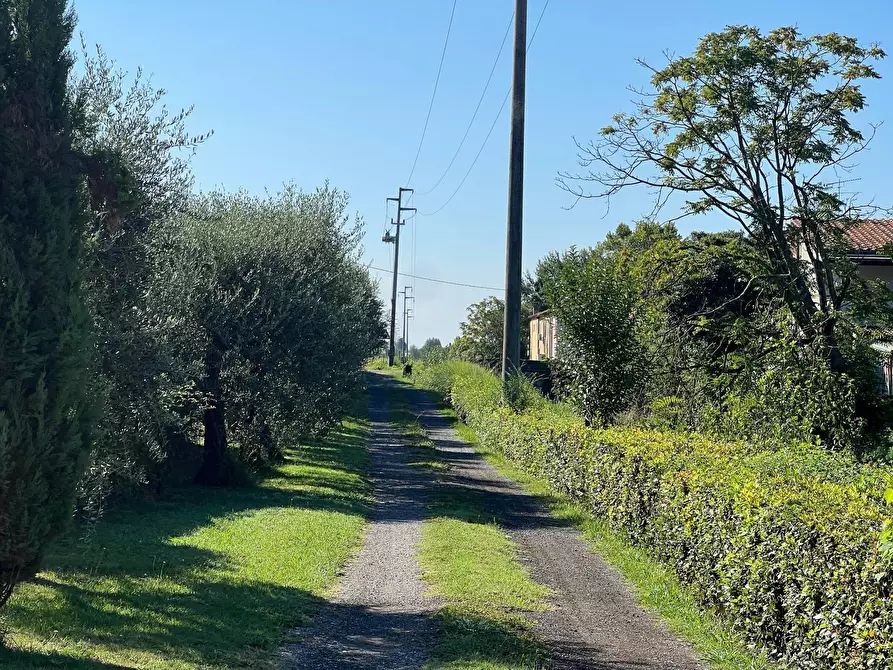 Immagine 8 di Villetta a schiera in vendita  in via cialdini 1 a San Giuliano Terme