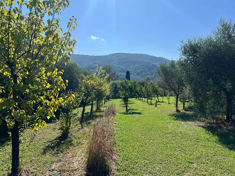 Immagine 18 di Villetta a schiera in vendita  in via cialdini 1 a San Giuliano Terme