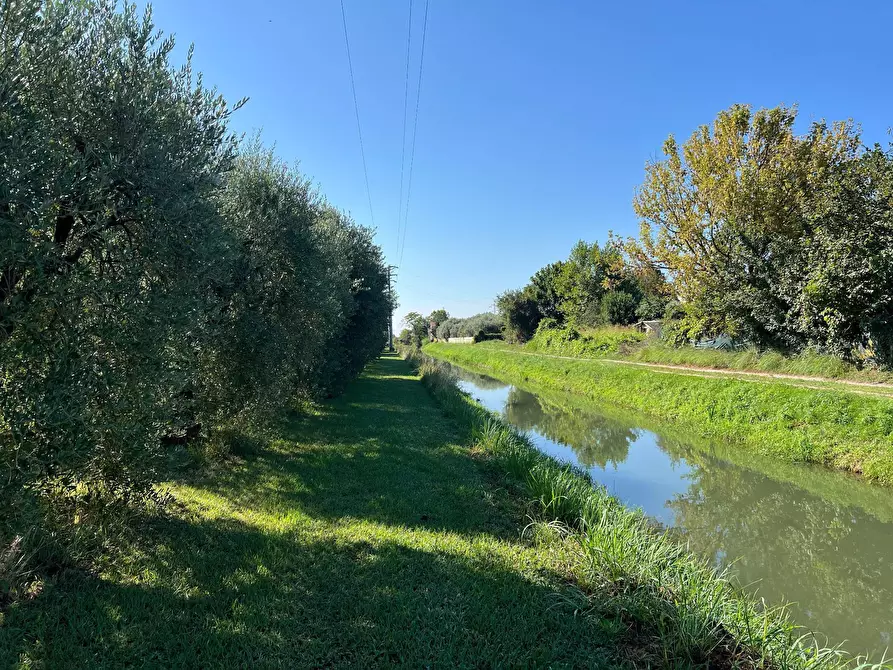 Immagine 19 di Villetta a schiera in vendita  in via cialdini 1 a San Giuliano Terme