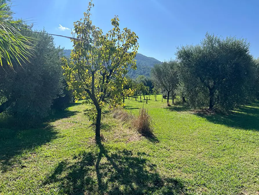 Immagine 21 di Villetta a schiera in vendita  in via cialdini 1 a San Giuliano Terme