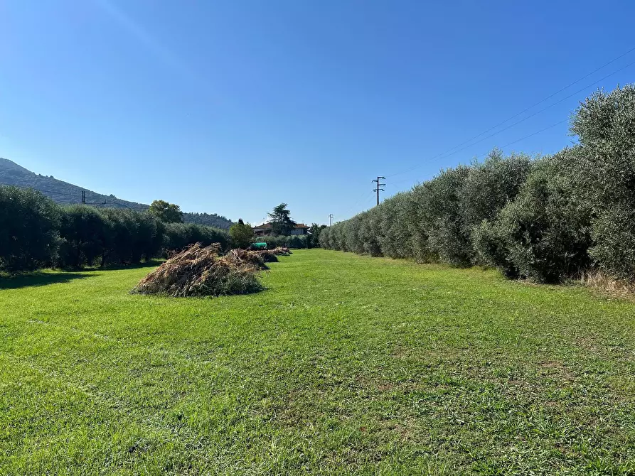 Immagine 22 di Villetta a schiera in vendita  in via cialdini 1 a San Giuliano Terme