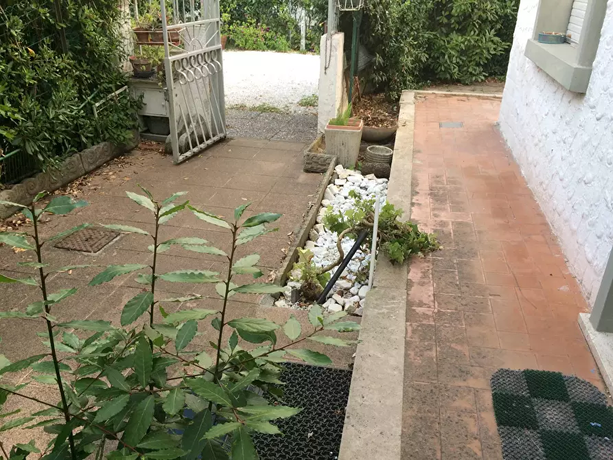 Immagine 11 di Casa indipendente in vendita  in via giovanni XXIII 5 a Viareggio