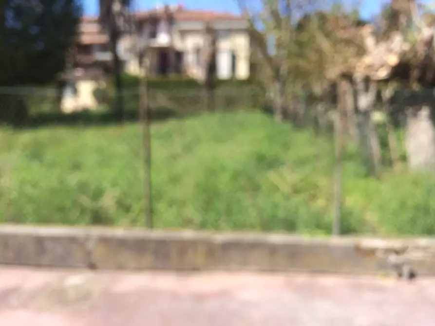 Immagine 5 di Attività commerciale in vendita  in Via Romana 1000 a Lucca