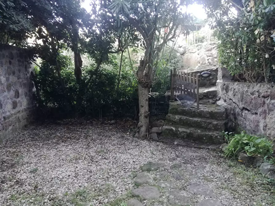 Immagine 2 di Appartamento in vendita  in via assunzione 3 a Capraia Isola