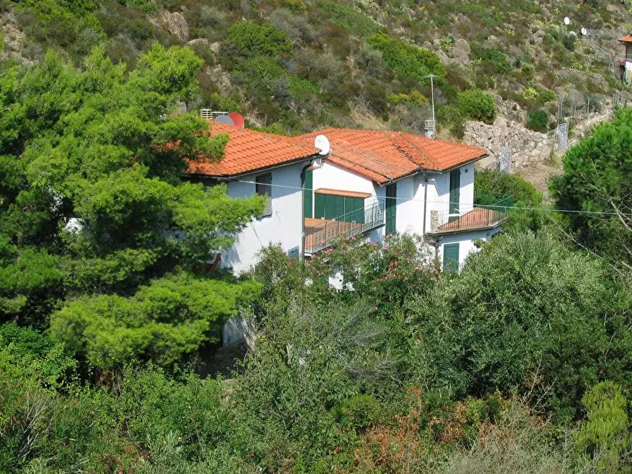 Immagine 5 di Appartamento in vendita  in via assunzione 3 a Capraia Isola