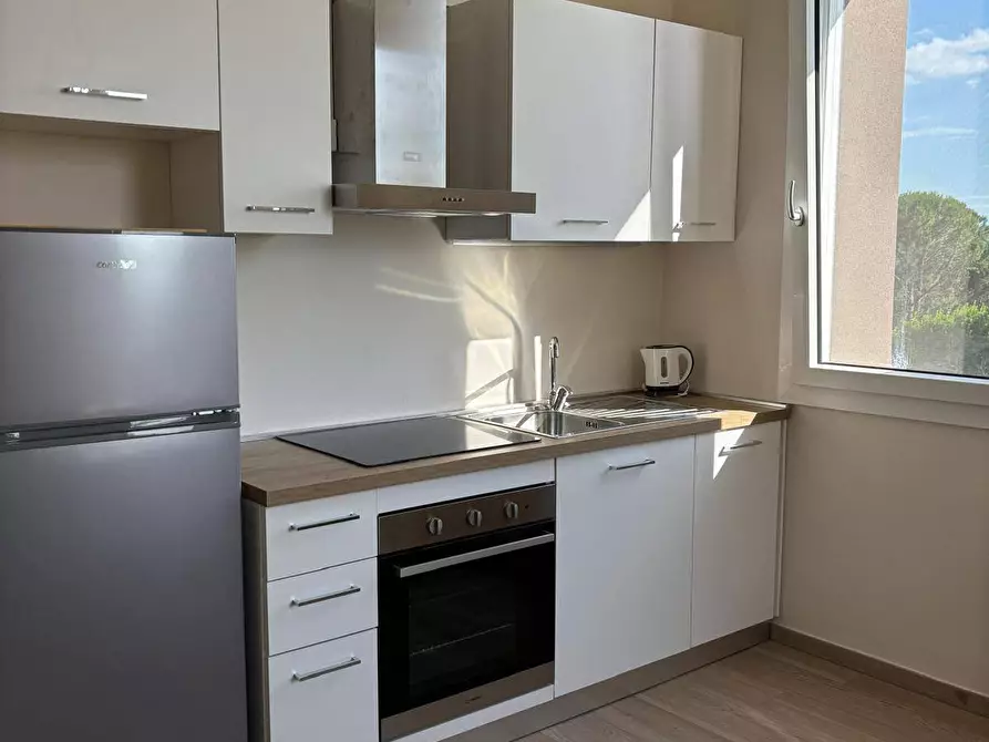 Immagine 2 di Appartamento in affitto  in Via Casaferri 5 a Collesalvetti