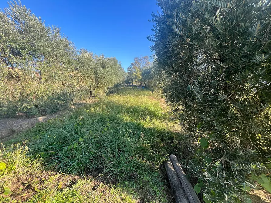 Immagine 2 di Terreno residenziale in vendita  in via romana 175 a Porcari