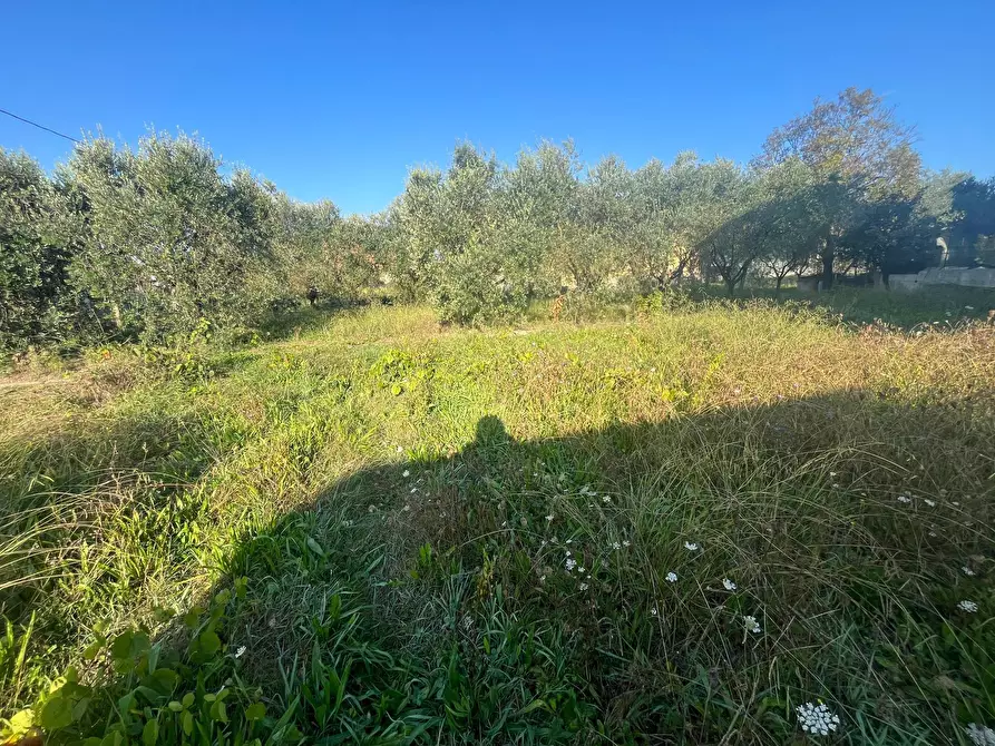 Immagine 3 di Terreno residenziale in vendita  in via romana 175 a Porcari